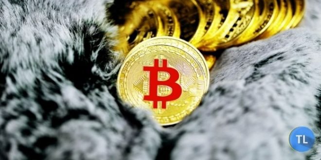 10 Keuntungan Menggunakan Bitcoin di Tahun 2021