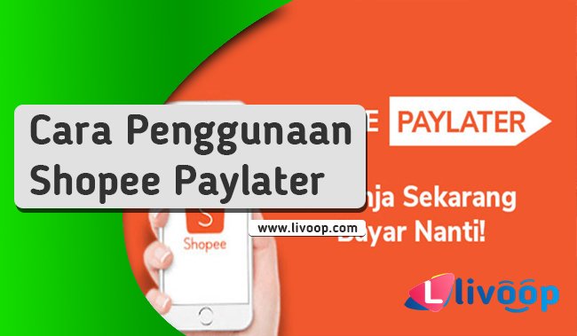 Tips dan Cara Penggunaan Aplikasi Paylater seperti Shopee Paylater Tahun 2022