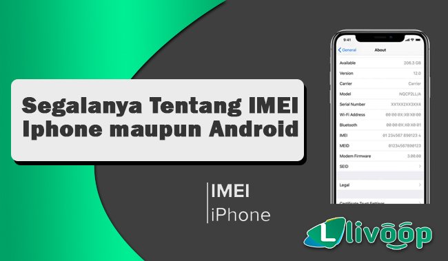 Segalanya Tentang IMEI Baik itu Iphone maupun Android