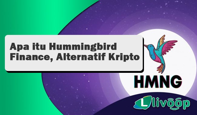 Apa itu Hummingbird Finance, Alternatif Kripto dan Tata Kerjanya